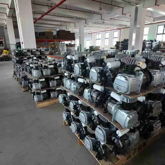2 Pole High Frequency 0.8HP 6L Oil Free Air Compressor